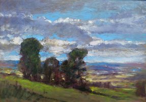 arbres dans un paysage